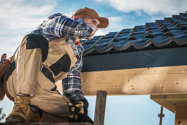 Professional Roofing Contractor